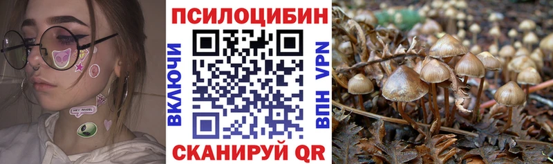 Псилоцибиновые грибы Magic Shrooms  KRAKEN ссылка  Москва 