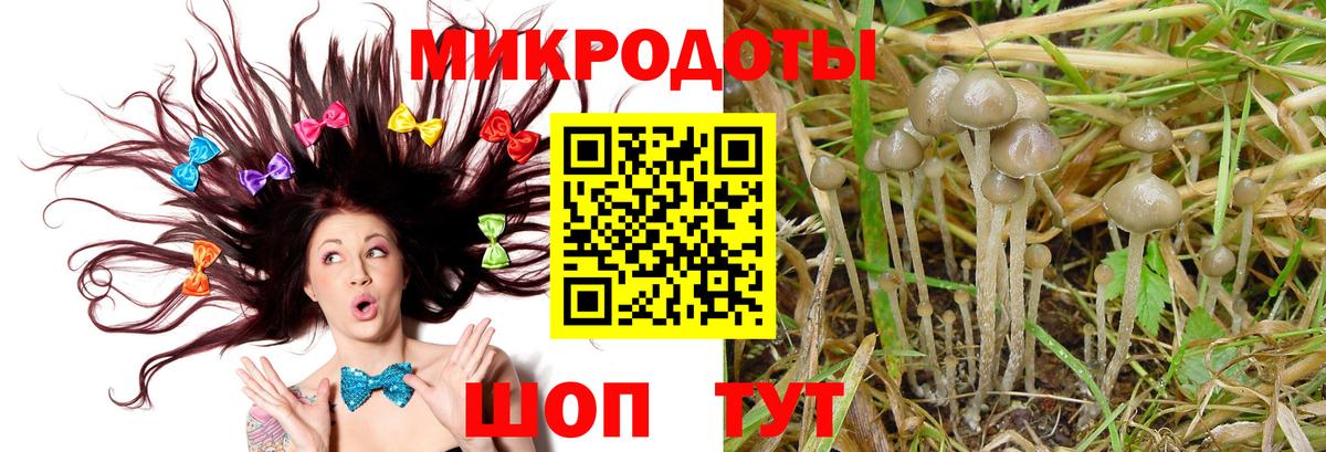Псилоцибиновые грибы мицелий  Псилоцибиновые грибы GOLDEN TEACHER  Вход с VPN  Москва 