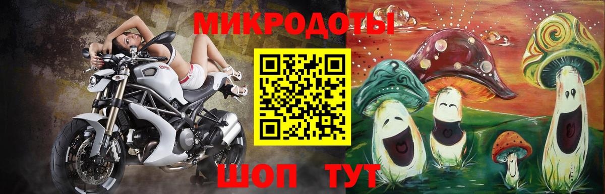 Галлюциногенные грибы прущие грибы Москва