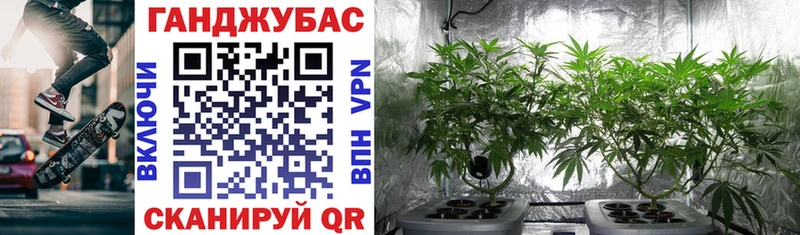 дарнет шоп  Москва  kraken   Шишки марихуана планчик 